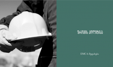 შრომის პოლიტიკა - EMC-ს შეფასება