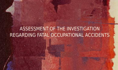 Assessment of The Investigation Regarding Fatal Occupational Accidents