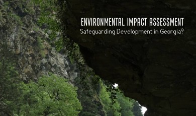 Environmental Impact Assessment - Safeguarding Development in Georgia?