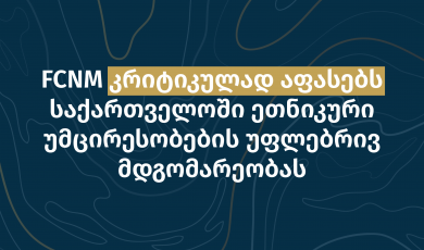    FCNM საქართველოში ეთნიკური უმცირესობების უფლებრივ მდგომარეობას კრიტიკულად აფასებს