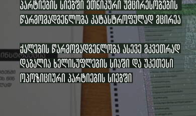 ქალების და ეთნიკური უმცირესობების წარმომადგენლობა საარჩევნო სუბიექტების სიებში კვლავ დისპროპორციულად მცირეა