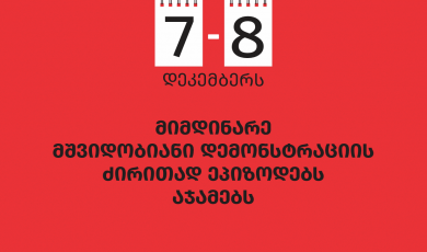 სოციალური სამართლიანობის ცენტრი 7-8 დეკემბერს მიმდინარე მშვიდობიანი დემონსტრაციის ძირითად ეპიზოდებს აჯამებს