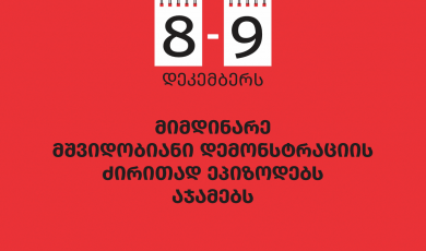 სოციალური სამართლიანობის ცენტრი 8-9 დეკემბერს მიმდინარე მშვიდობიანი დემონსტრაციის ძირითად ეპიზოდებს აჯამებს