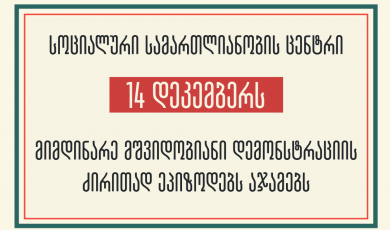 სოციალური სამართლიანობის ცენტრი 14 დეკემბერს მიმდინარე მშვიდობიანი დემონსტრაციის ძირითად ეპიზოდებს აჯამებს