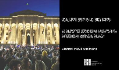 ქართული პოლიტიკა 2024 წელს: რა ვისწავლეთ პოლიტიკური, სოციალური და ეკონომიკური აქტორების შესახებ?