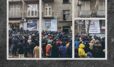 შინამეურნეობათა ჭარბვალიანობა საქართველოში