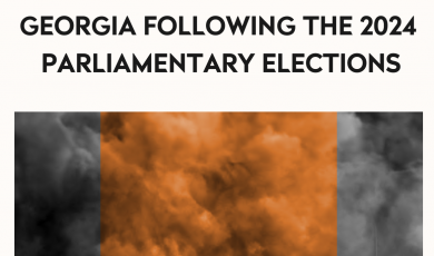 Human Rights Crisis in Georgia Following the 2024 Parliamentary Elections