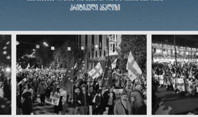 პროტესტის მონაწილეების წინააღმდეგ ყველაზე ხშირად გამოყენებული სისხლის სამართლის კოდექსის მუხლების კრიტიკული ანალიზი