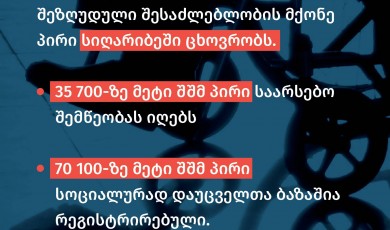 შშმ პირთა უფლებების დაცვის დღე