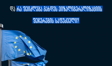 ვიზალიბერალიზაციის შეჩერების რისკი და ევროკავშირის მოთხოვნები საქართველოს მიმართ 