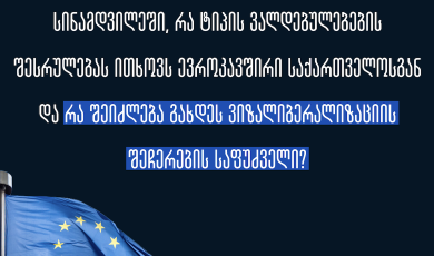 ვიზალიბერალიზაციის შეჩერების რისკი და ევროკავშირის მოთხოვნები საქართველოს მიმართ 