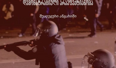 დაუსჯელი ძალადობა: 2024 წლის პროტესტების დროს  საპოლიციო ძალადობის საქმეების გამოძიების კრიზისი - შუალედური ანგარიში