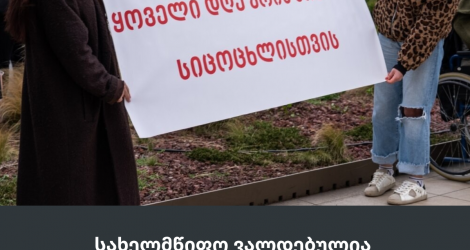 სახელმწიფო ვალდებულია, დიუშენის კუნთოვანი დისტროფიის მქონე ბავშვები საკმარისი მხარდაჭერითა და მედიკამენტებით უზრუნველყოს
