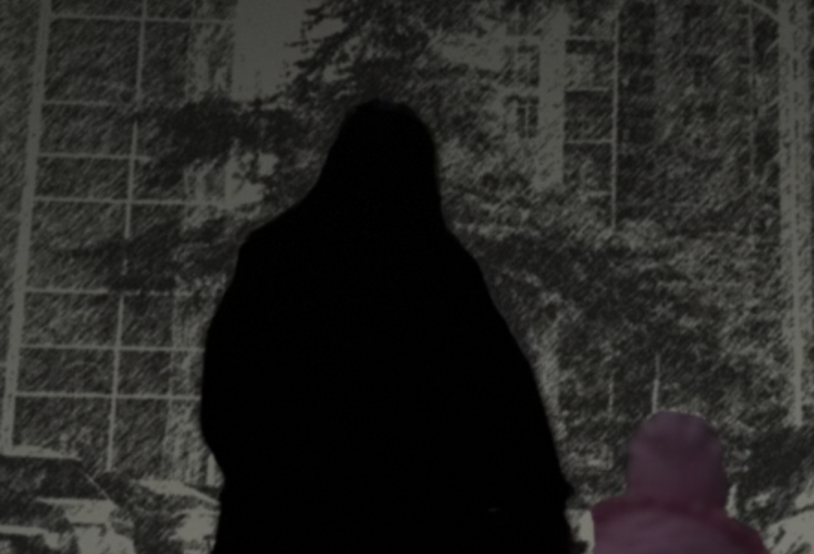 სუროგაციასთან დაკავშირებული ტრეფიკინგისა და ძალადობის სავარაუდო პრაქტიკა საგანგაშოა და საჭიროებს დაუყოვნებლივ გამოძიებას