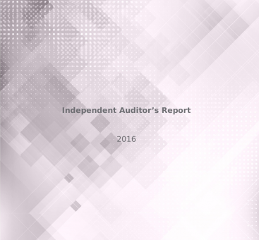 Independant Auditors' Report/2016 